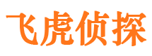 安徽市调查公司